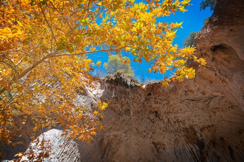 Fall colors at Tonto Natural Bridge